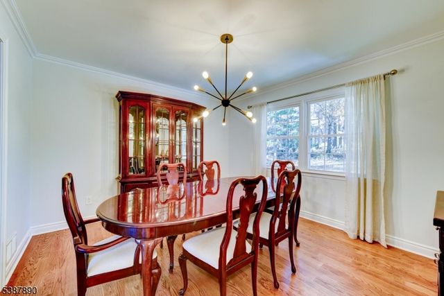 40 France Dr, Branchburg Twp., NJ 08876