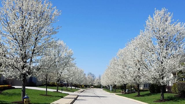 9080 Timberbrook Lane, C, Florence, KY 41042