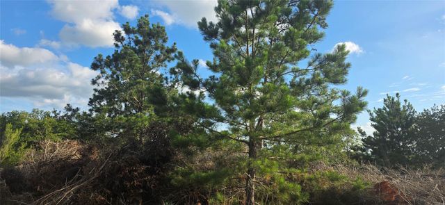400 McAllister RD, Bastrop, TX 78602