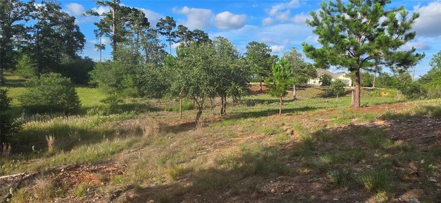 400 McAllister RD, Bastrop, TX 78602
