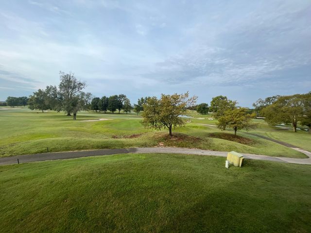 110 W Rockford Drive, Branson, MO 65616