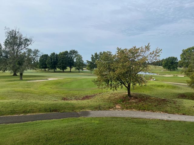 110 W Rockford Drive, Branson, MO 65616