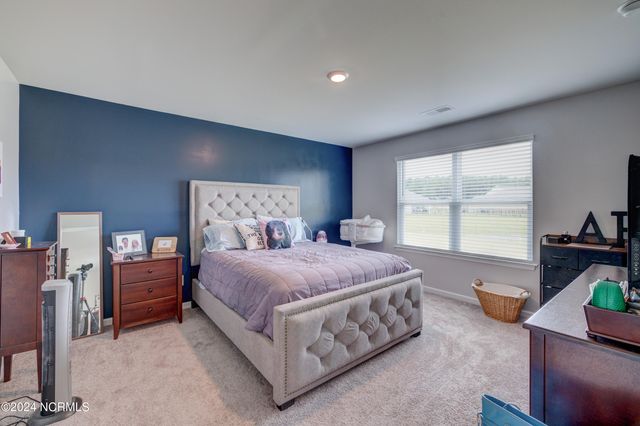 6205 Centipede Place, Castle Hayne, NC 28429