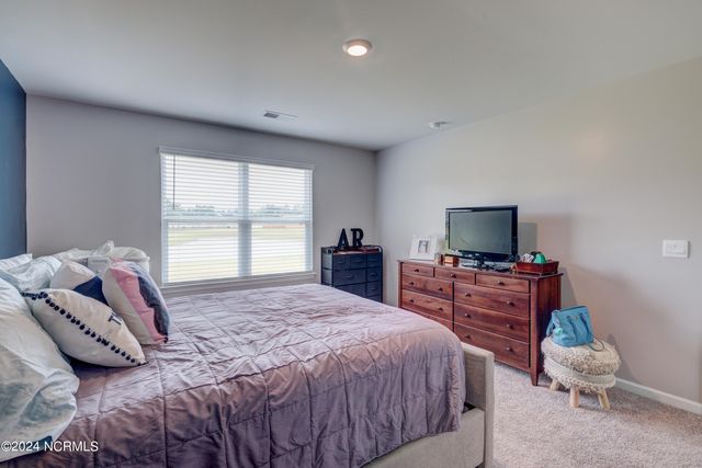 6205 Centipede Place, Castle Hayne, NC 28429