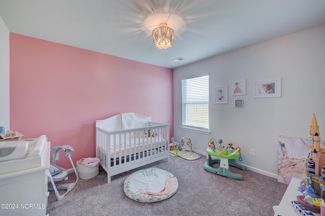 6205 Centipede Place, Castle Hayne, NC 28429