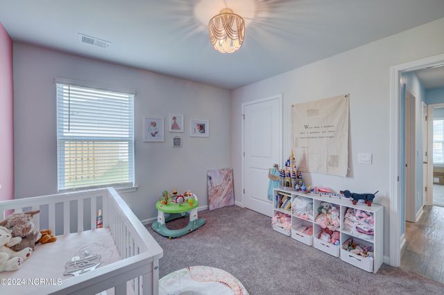 6205 Centipede Place, Castle Hayne, NC 28429
