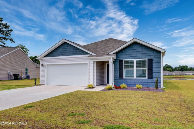 6205 Centipede Place, Castle Hayne, NC 28429