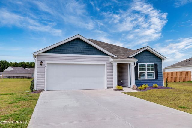 6205 Centipede Place, Castle Hayne, NC 28429