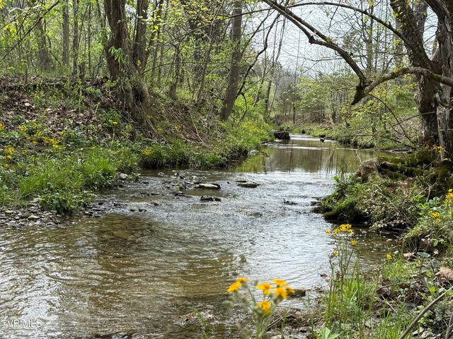 0 Long Town Road, Bulls Gap, TN 37711