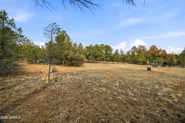 3113 WHITETAIL Way, Overgaard, AZ 85933