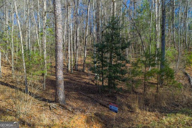 LOT 117 Jumper Drive, Ellijay, GA 30540
