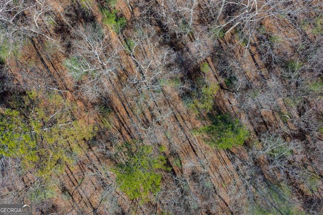 LOT 117 Jumper Drive, Ellijay, GA 30540
