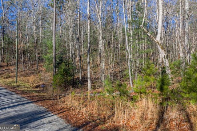 LOT 117 Jumper Drive, Ellijay, GA 30540