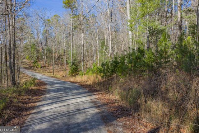 LOT 117 Jumper Drive, Ellijay, GA 30540