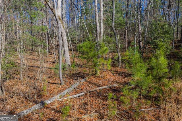 LOT 117 Jumper Drive, Ellijay, GA 30540