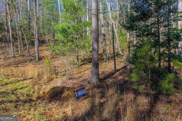 LOT 117 Jumper Drive, Ellijay, GA 30540