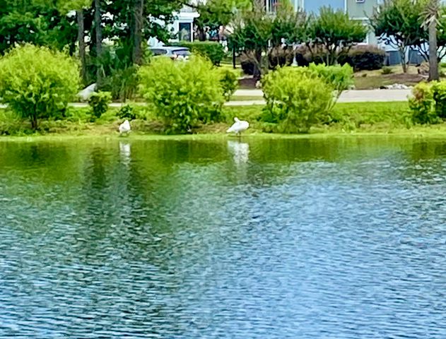 206 Double Eagle Dr. H 1, Surfside Beach, SC 29575