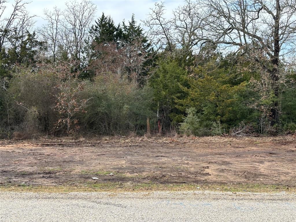 Lot 63 Shadow Oaks DR, Bastrop, TX 78602