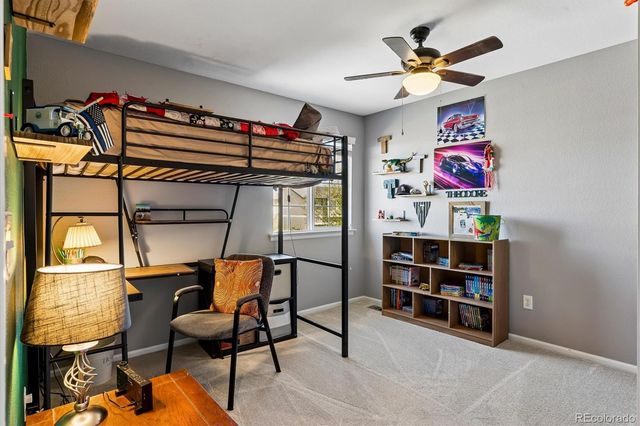 6284 Brantly Avenue, Castle Rock, CO 80104