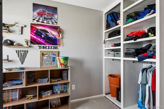 6284 Brantly Avenue, Castle Rock, CO 80104