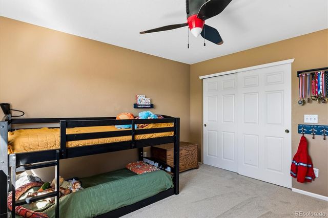 6284 Brantly Avenue, Castle Rock, CO 80104