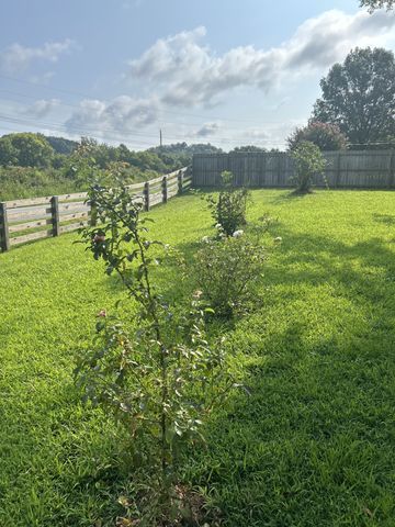 4049 Hampshire Pike, Hampshire, TN 38461
