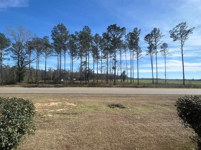 4717 State Line Rd, Cottonwood, AL 36320