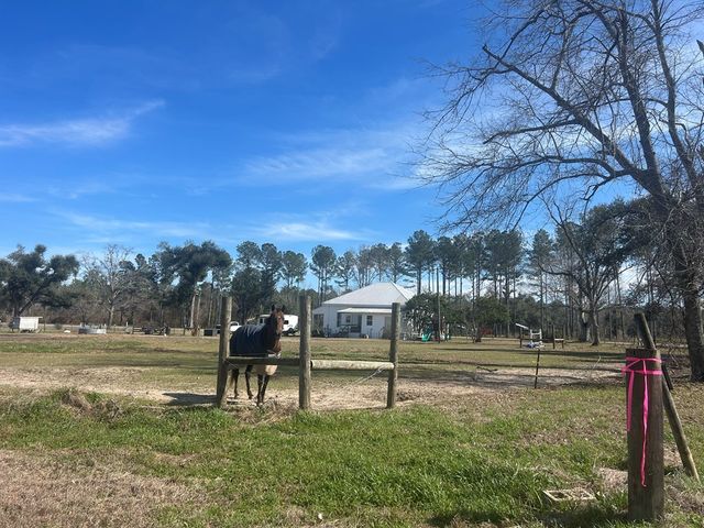 4717 State Line Rd, Cottonwood, AL 36320