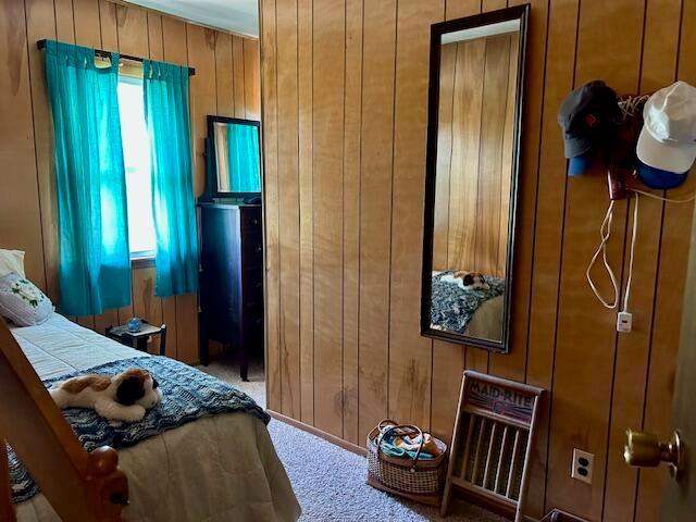 10158 S River Road, Evart, MI 49631