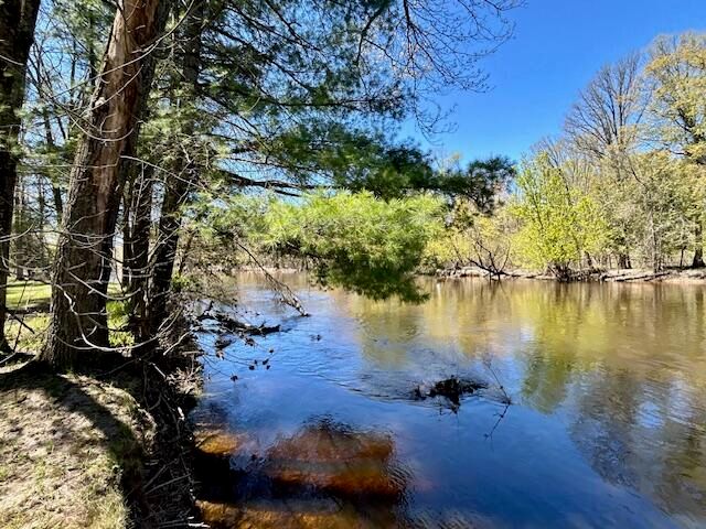 10158 S River Road, Evart, MI 49631