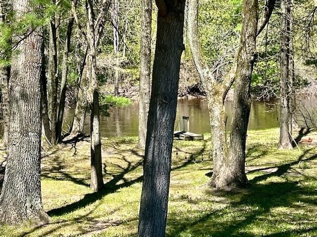 10158 S River Road, Evart, MI 49631