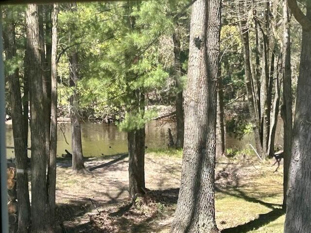 10158 S River Road, Evart, MI 49631