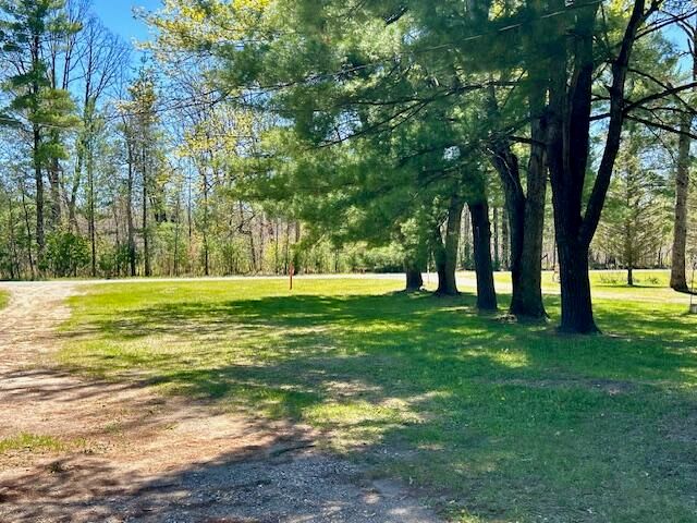 10158 S River Road, Evart, MI 49631
