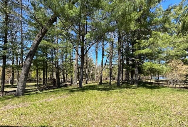 10158 S River Road, Evart, MI 49631