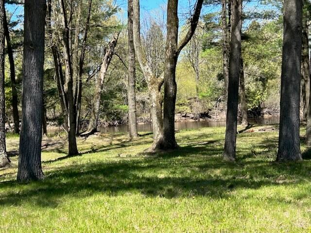 10158 S River Road, Evart, MI 49631