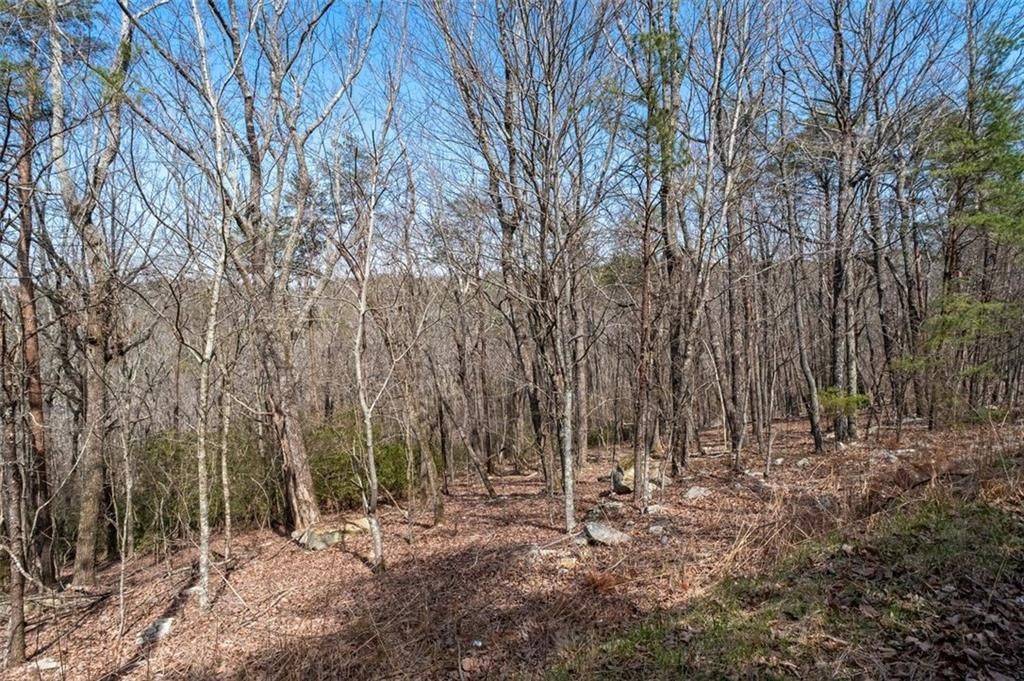 0 Mulberry Circle, Jasper, GA 30143