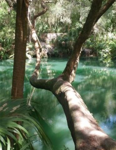 120 HIBISCUS WOODS COURT 4B, Deltona, FL 32725