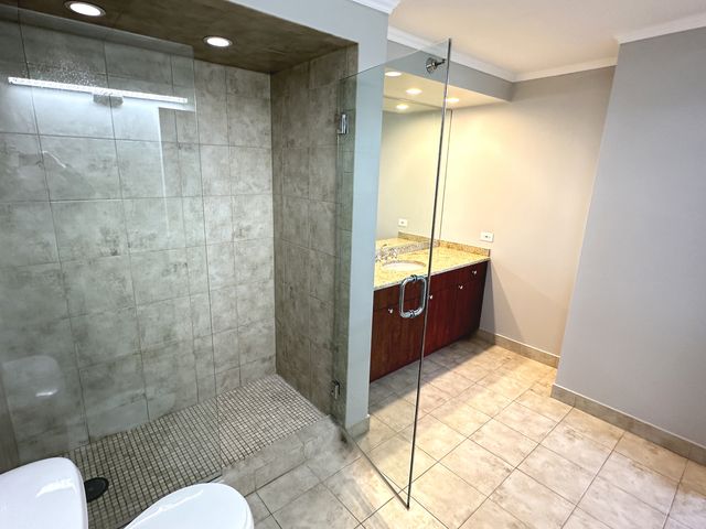 474 N Lake Shore Drive 6102, Chicago, IL 60611