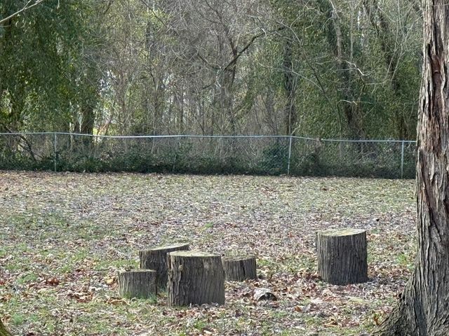 365 Maple Street, Russell Springs, KY 42642