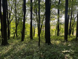 0 King Road, Howard, OH 43028