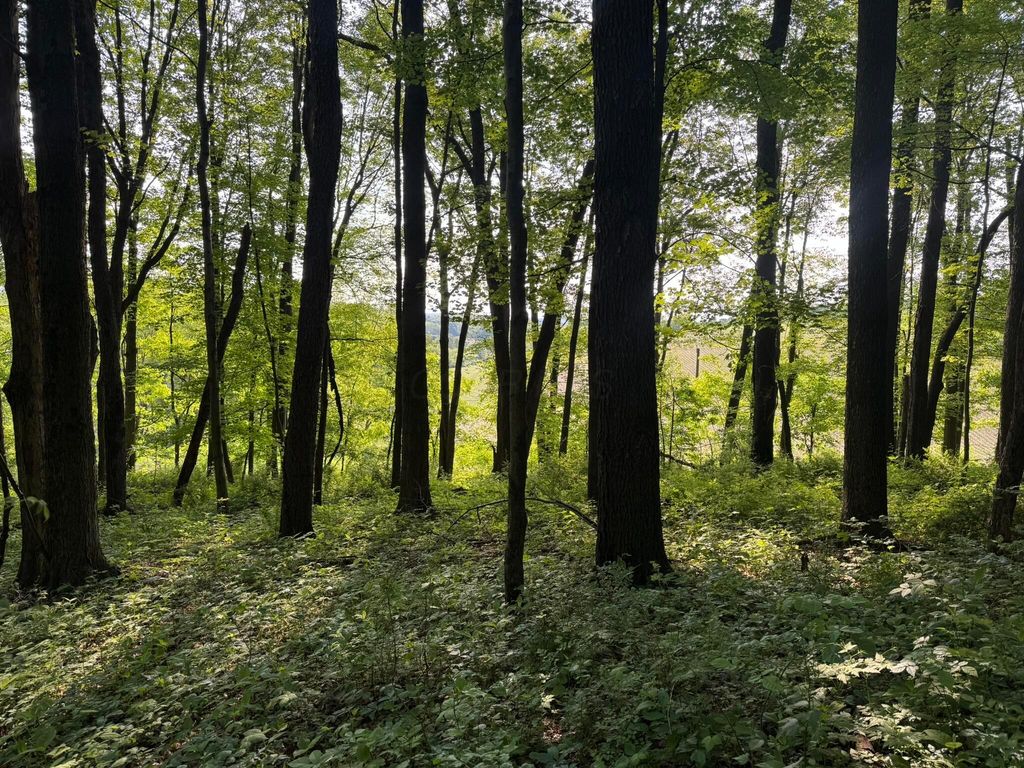 0 King Road, Howard, OH 43028