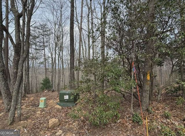 TRACT B2 Mountain Ridge TRCTB-2, Blue Ridge, GA 30513