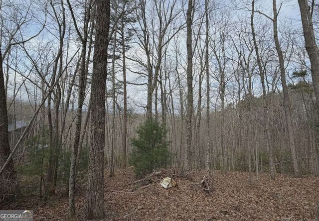 TRACT B2 Mountain Ridge TRCTB-2, Blue Ridge, GA 30513