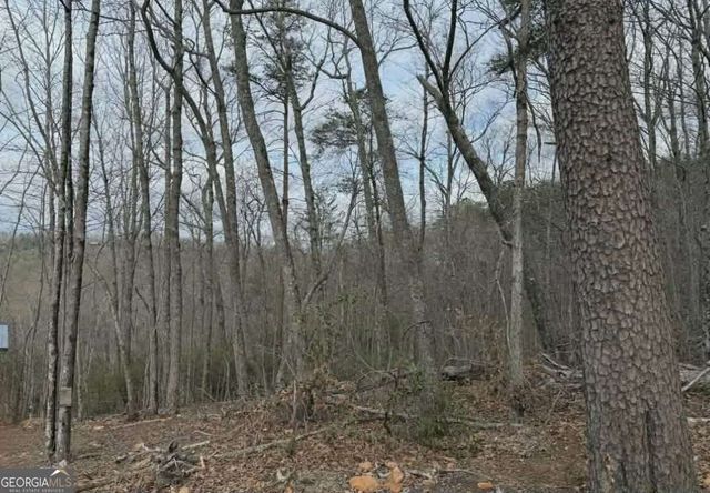 TRACT B2 Mountain Ridge TRCTB-2, Blue Ridge, GA 30513