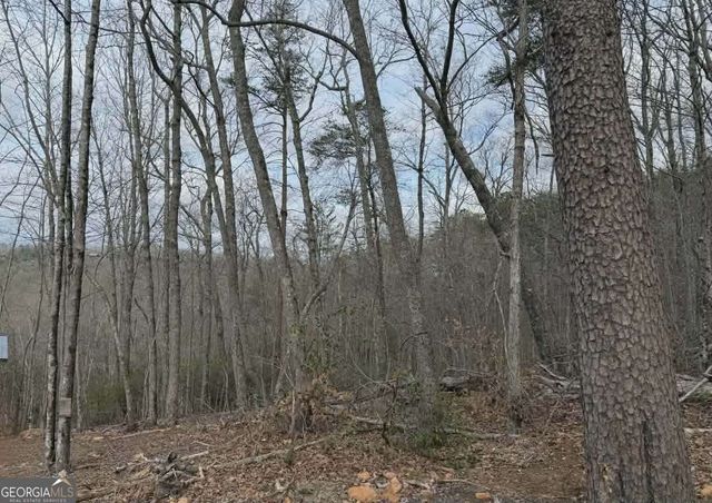 TRACT B2 Mountain Ridge TRCTB-2, Blue Ridge, GA 30513