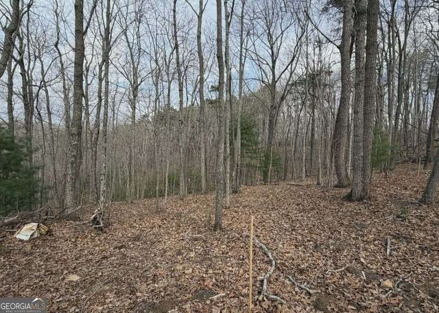 TRACT B2 Mountain Ridge TRCTB-2, Blue Ridge, GA 30513