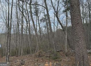 TRACT B2 Mountain Ridge TRCTB-2, Blue Ridge, GA 30513