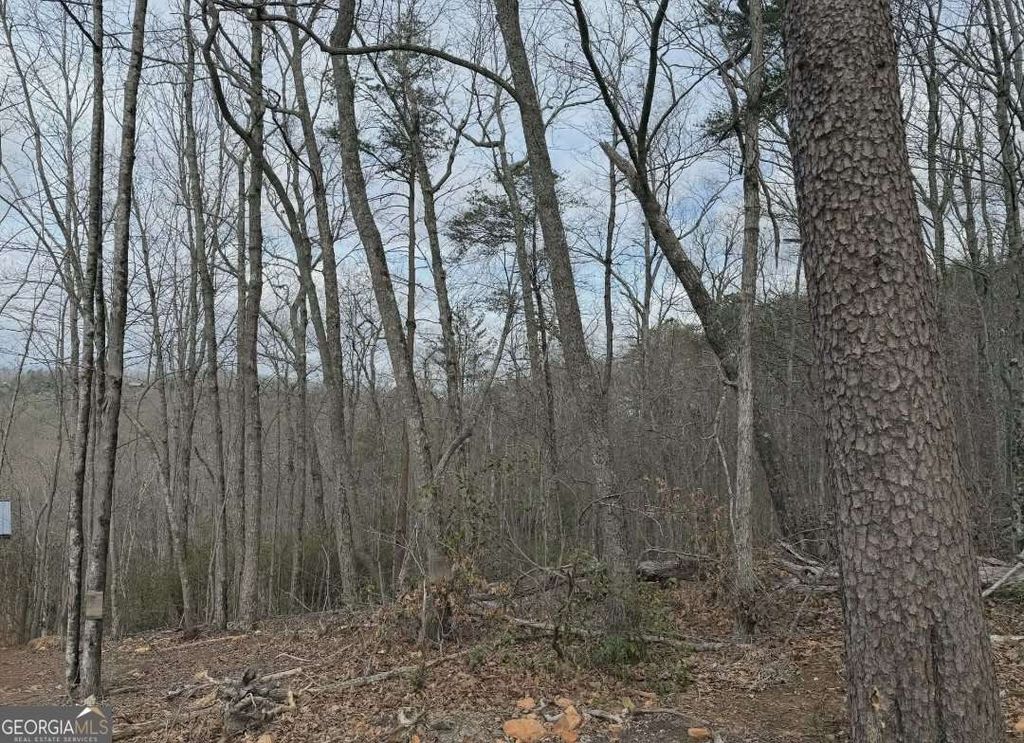 TRACT B2 Mountain Ridge TRCTB-2, Blue Ridge, GA 30513