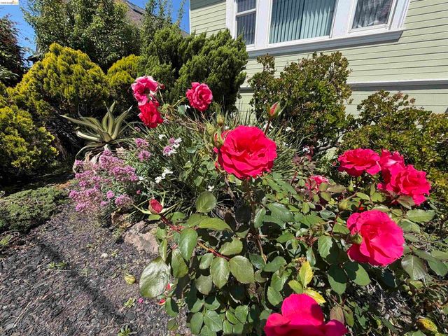 1028 61St St, Oakland, CA 94608