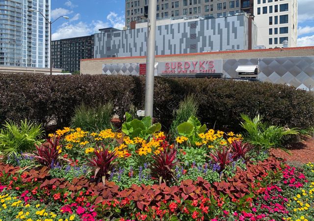 613 Harrison Street NE, Minneapolis, MN 55413